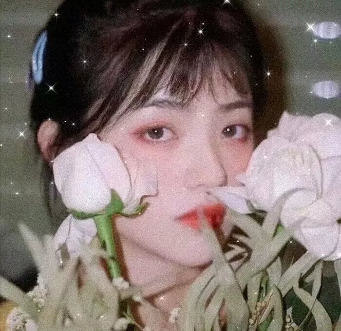 狂舞纽约